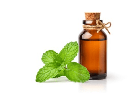 Peppermint Essential Oil